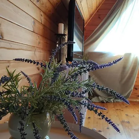 Izbushka * Tūja